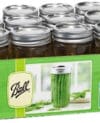 If you're an avid canner, DIY enthusiast, or simply someone who loves organized kitchen storage, the Ball Wide Mouth Pint 16-ounce Glass Mason Jar with Lids and Bands 12-Count is an essential addition to your collection.